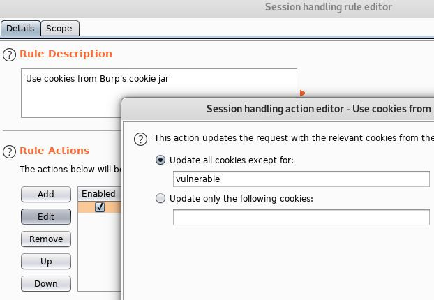 Burp Session Handling and SQLMap - 2