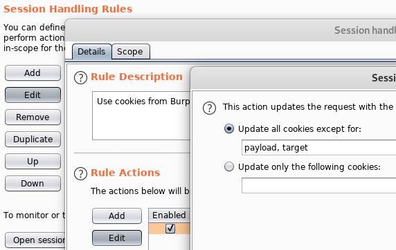 Burp Session Handling and SQLMap - 4