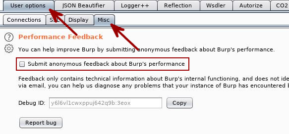 Burp Suite Tips - Privacy Settings - Performance Feedback