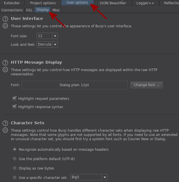 Burp Suite Tips - Interface Customization