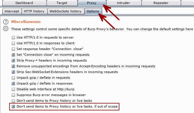 Burp Suite Tips - Clean Proxy History