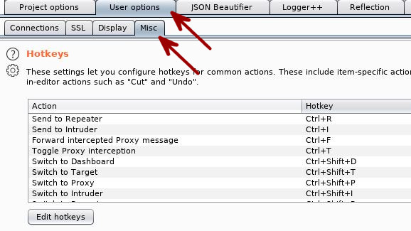 Burp Suite Tips - Keyboard Shortcuts (HotKeys)