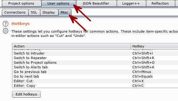 Burp Suite Tips - Keyboard Shortcuts (HotKeys)