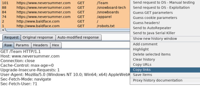 Enumerating Applications with Aquatone and Burp Suite - Copy Links