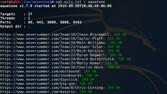 Enumerating Applications with Aquatone and Burp Suite - Aquatone output 1