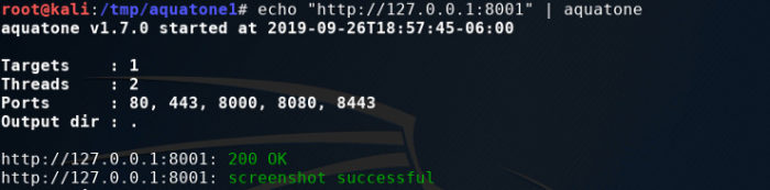 Enumerating Applications with Aquatone and Burp Suite - Aquatone port recognition